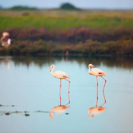 וילה Fiordo Specchio Nautico
